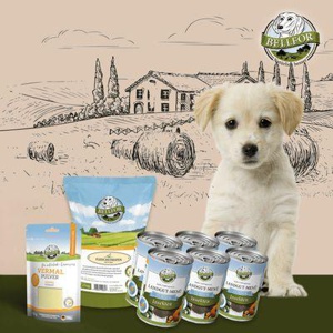 Bellfor Magen-Darm-Bereich Unterstützung Set für Welpen 2,580 g Produktbild