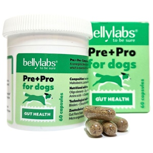 Bellylabs Pre+Pro Gut Health för Hund 60 kapslar produkt bild