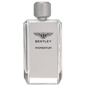 Bentley Momentum edt 100ml produkt bild