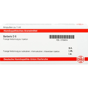 BERBERIS D 6 Ampullen Produktbild