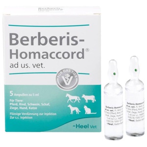 BERBERIS HOMACCORD ad us.vet.Ampullen Produktbild