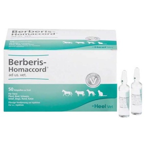 Berberis Homaccord Ampullen vet. (für Tiere), 50X5 ml Ampullen Produktbild