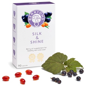 BERRYOMG Silk & Shine 90 kapslar produkt bild