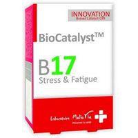 BIOCATALYST B17 Stress & Müdigkeit Kapseln Produktbild