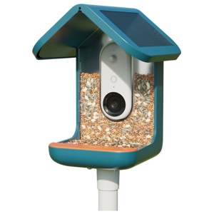 Bird Buddy Fågelmatare med Kamera Blå produkt bild