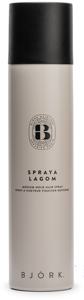 Björk Spraya Lagom 300ml produkt bild