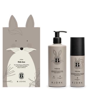 Björk VÄXA Kids Box 300, 150 ml produkt bild