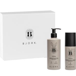 Björk Växa Kids Box Duo produkt bild