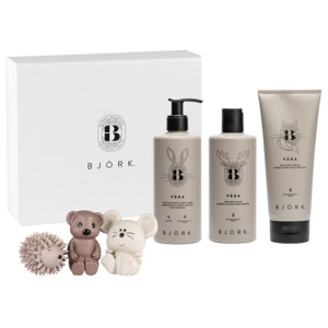 Björk Växa Kids Box Trio produkt bild