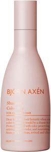 Björn Axén Color Stay Shampoo 250 ml produkt bild