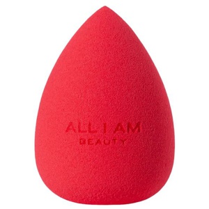 Blending Sponge produkt bild