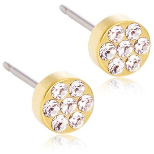 Blomdahl Golden Titanium Brilliance Plenary 5mm Crystal produkt bild