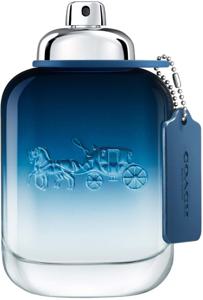 Blue EdT 100ml produkt bild
