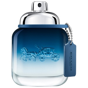 Blue EdT 40 ml produkt bild