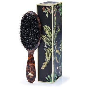 Fan Palm Medium Turtle brush produkt bild