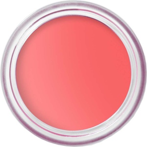 Bobbi Brown Pot Rouge produktbillede