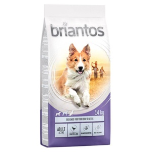 briantos Adult Active Produktbild