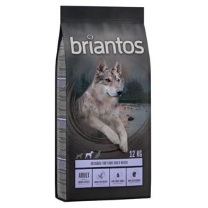 Sparpaket briantos getreidefrei 2 x 12 kg Produktbild