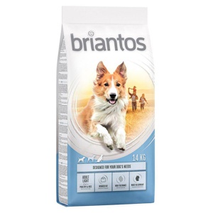 briantos Adult Light Produktbild