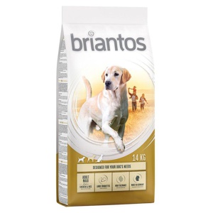 briantos Adult Maxi Produktbild