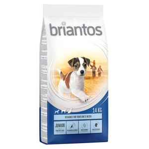 briantos Junior Produktbild