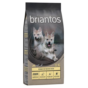 briantos Junior Huhn & Kartoffel - getreidefrei Produktbild