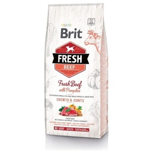 Brit Fresh Beef with Pumpkin Puppy Large produkt bild