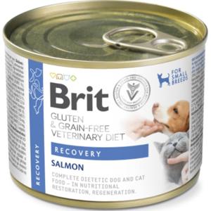 Brit GF Vet Diet Dog + Cat Can Recovery 200 g produkt bild