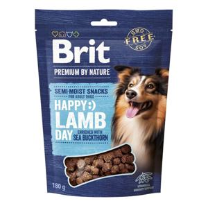 Brit Premium by Nature Hundgodis Lamm & Havtorn 180 g produkt bild