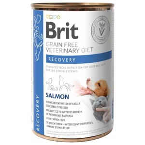 Brit Veterinary Diets Dog + Cat Recovery Grain Free 400 g produkt bild