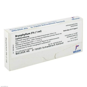 BRYOPHYLLUM 5% 1 ml Injektionslösung Produktbild