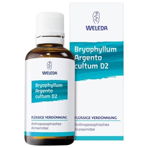 BRYOPHYLLUM ARGENTO cultum Rh D 3 Dilution Produktbild