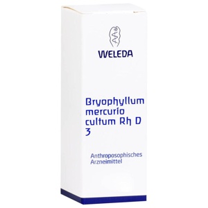 BRYOPHYLLUM MERCURIO cultum Rh D 3 Dilution Produktbild