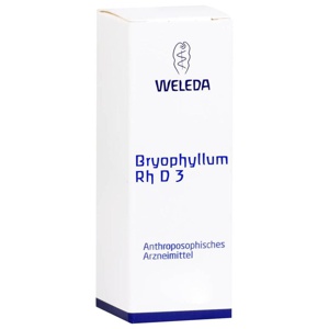 BRYOPHYLLUM RH D 3 Dilution Produktbild