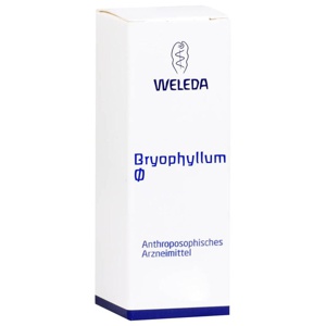 BRYOPHYLLUM Urtinktur Produktbild