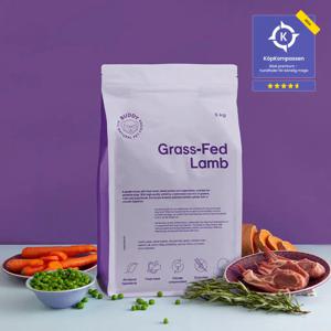 Buddy Grass-Fed Lamb (12 kg) produkt bild