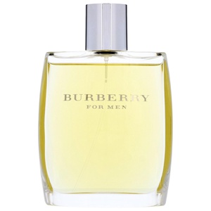 Burberry Classic Men edt 100ml produkt bild