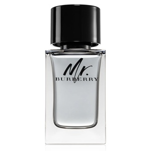 Burberry Mr. Burberry 100ml Eau de Toilette product image
