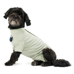 BUSTER Body Suit Step'n Go för Hundar med CalmDown Knapphållare S Dusty Green produkt bild