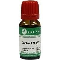 CACTUS LM 18 Dilution Produktbild