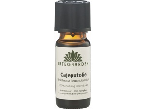 Cajeput Æterisk Olie - 10ML - URTEGAARDEN produktbillede