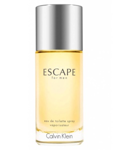 Calvin Klein Escape EDT 100 ml Produktbild