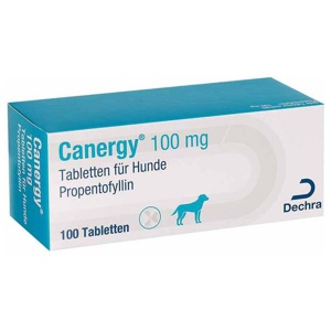 Canergy 100 mg Tabletten für Hunde, 100 St Tabletten Produktbild