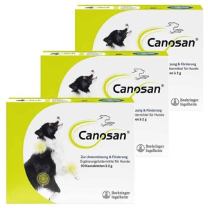 Canosan Kautabletten vet. (für Tiere), 3x30 St Kautabletten Produktbild