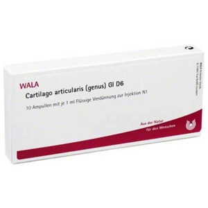 Cartilago articularis genus GL D 6 Ampullen, 10X1 ml Ampullen Produktbild