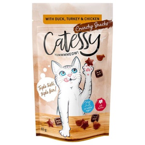 Catessy Knuspersnacks 65 g Produktbild
