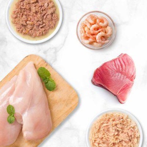 Catit Cuisine Fillet Thunfisch Produktbild