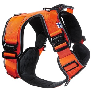 Cerberos Active Rescue Hundsele Orange produkt bild