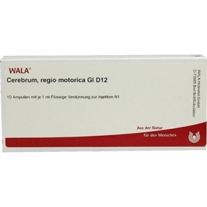 CEREBRUM REGIO motorica GL D 12 Ampullen Produktbild