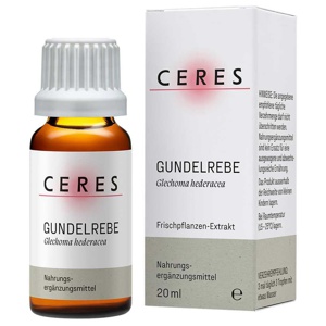CERES Gundelrebe Glechoma hederacea Extrakt Tropf. Produktbild
